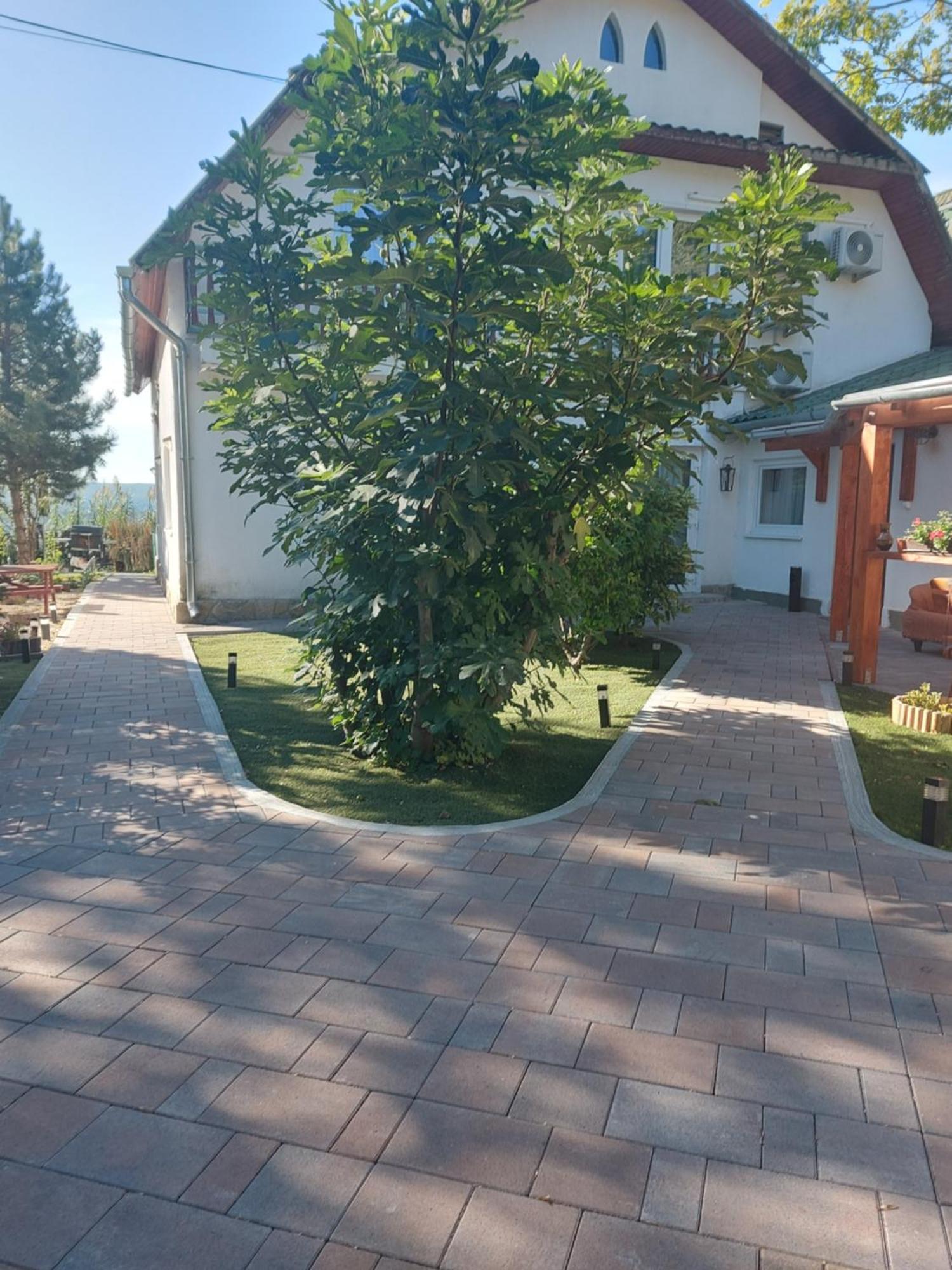 Attila'S Guest House Budaörs Εξωτερικό φωτογραφία